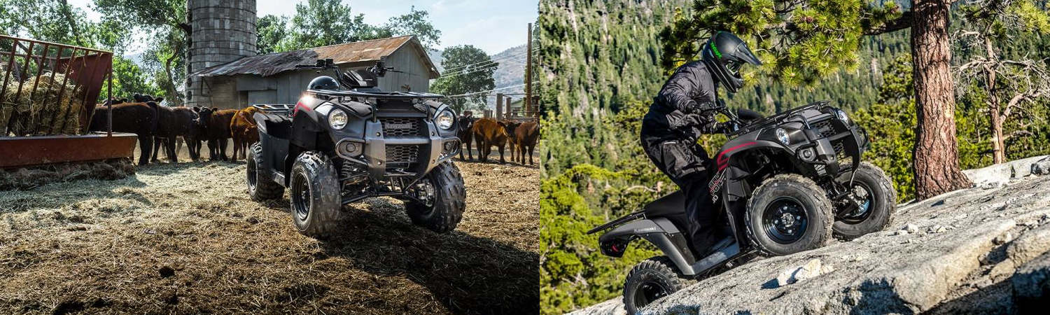 2022 Kawasaki for sale in Backcountry Powersports & Lawn Equipment, Bad Axe, Michigan